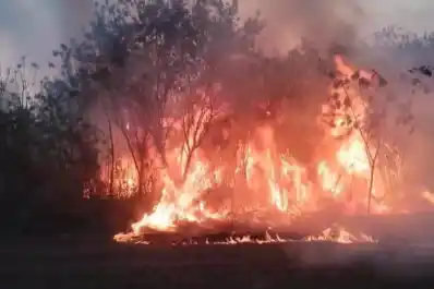 VIDEO. Mirá las impactantes imágenes del incendio en la zona del aeropuerto Benjamín Matienzo