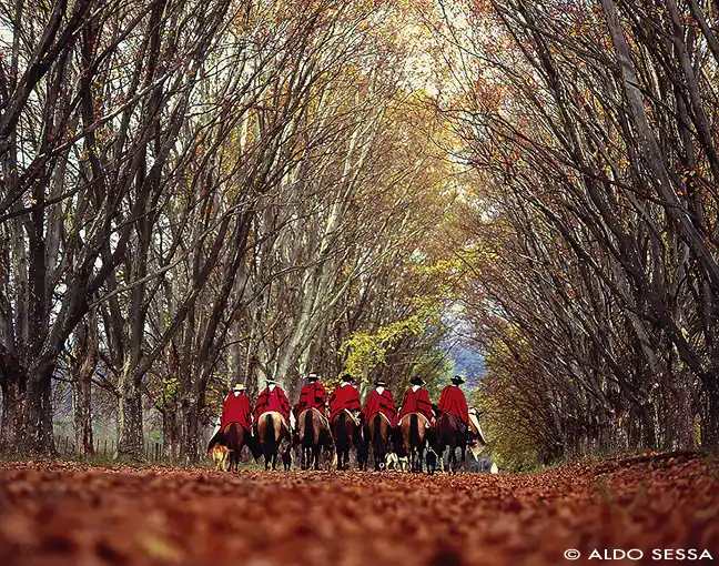 GAUCHOS SALTEÑOS. Esta imagen fue tomada por Aldo Sessa e ilustra uno de sus tantos libros.