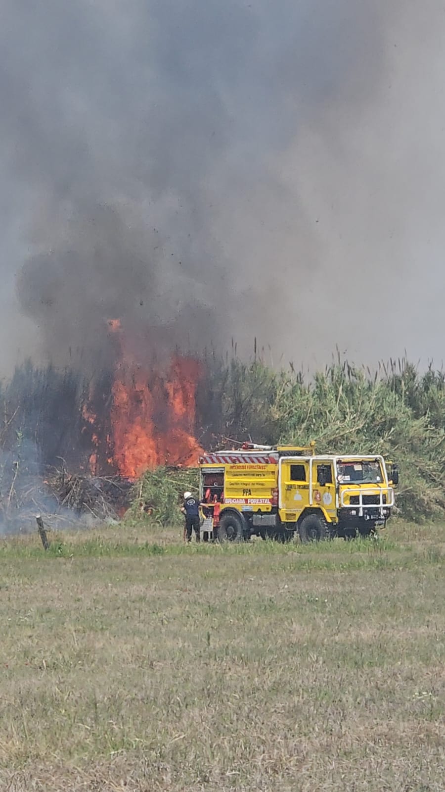 ESFUERZO. Los bomberos de la Federal trabajaron durante horas. 