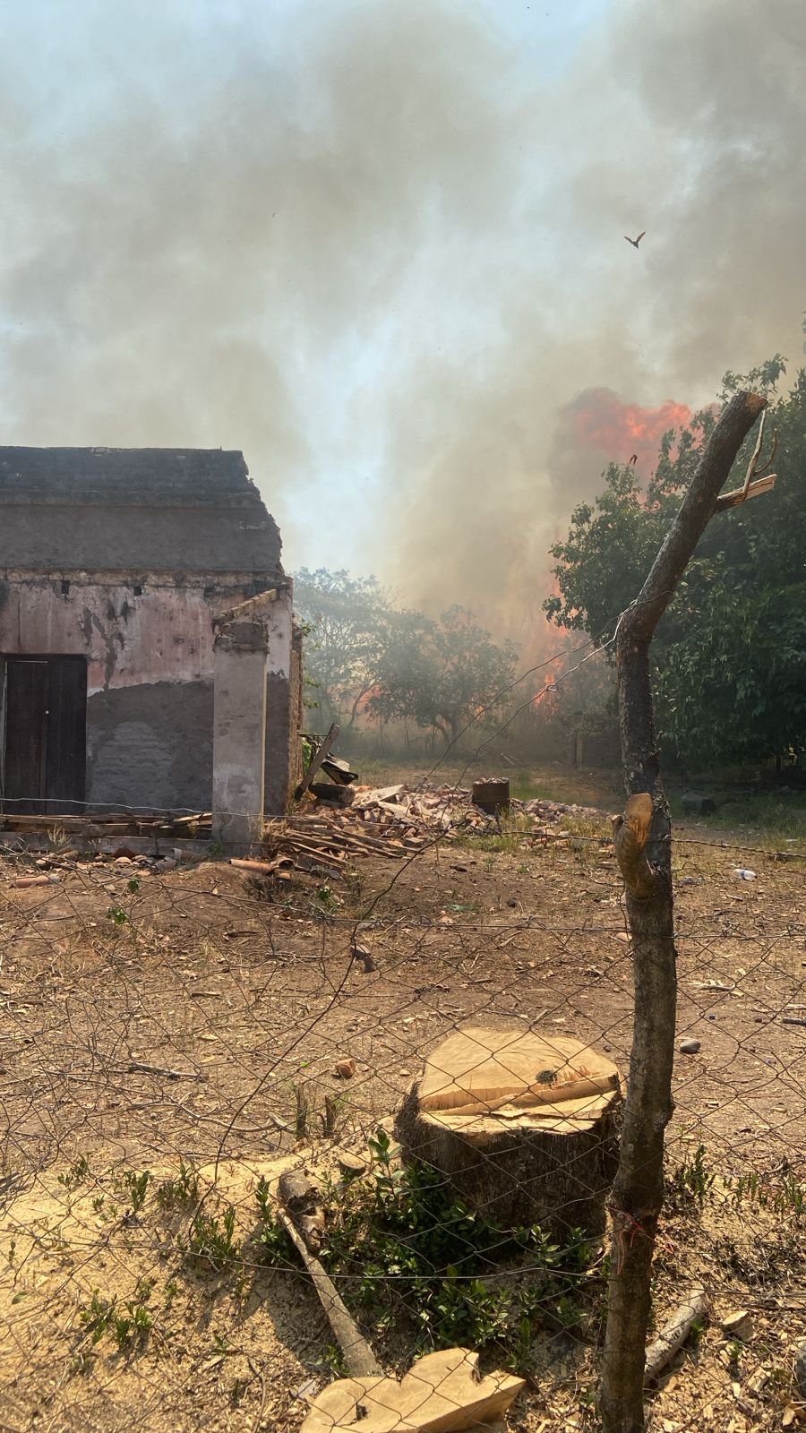 El fuego se extendió a viviendas. 