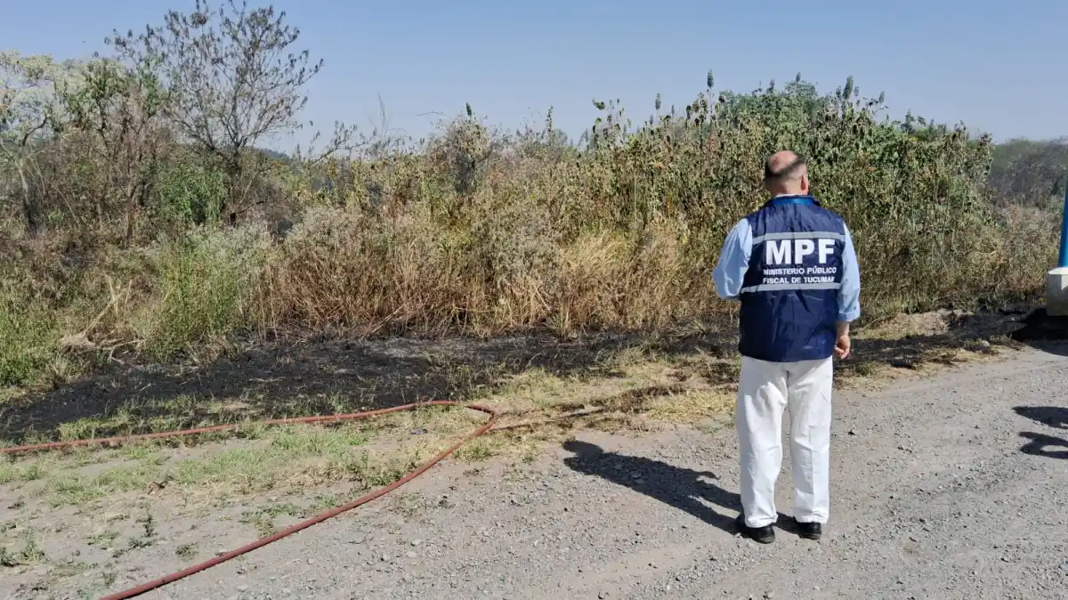 El Cadillal: sofocaron una quema de pastizales muy cerca de una plantación de cítricos