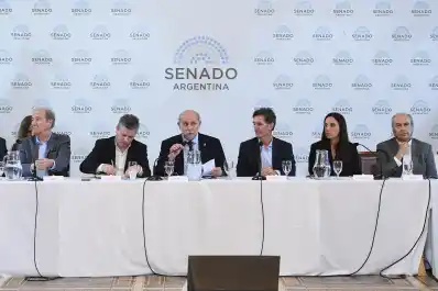 Cambios en la Ley de Biocombustibles: fuerte cruce entre productores de bioetanol y automotrices en el Senado