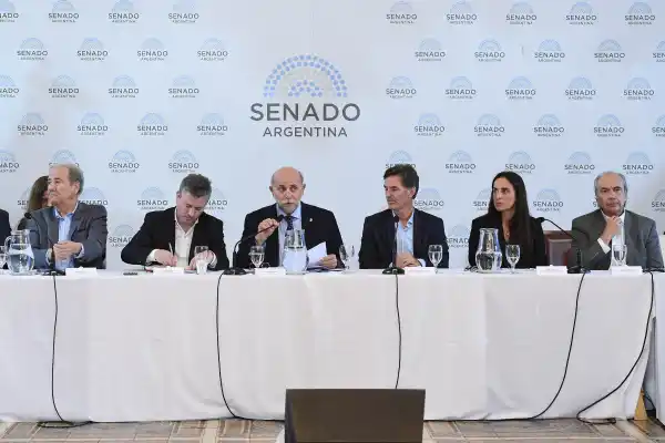 Cambios en la Ley de Biocombustibles: fuerte cruce entre productores de bioetanol y automotrices en el Senado