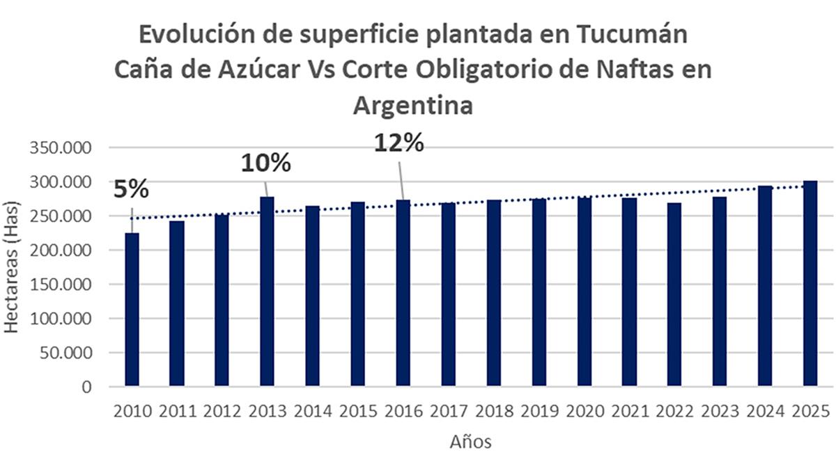 Tucumán aporta el 60% del bioetanol producido en la Argentina a partir de la caña de azúcar