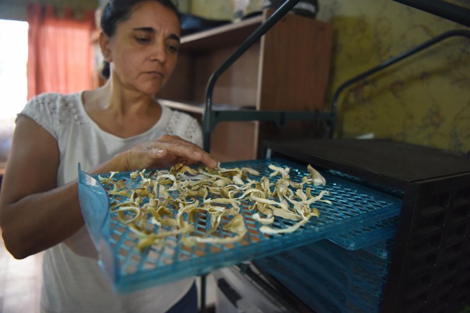 ANTES DEL EMPAQUE. Alicia, una parte del equipo, controla los hongos