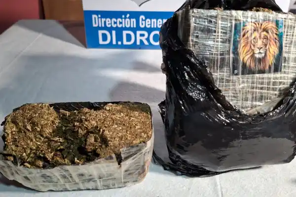 ¿Qué hay detrás de los logos que tienen los envíos de droga?