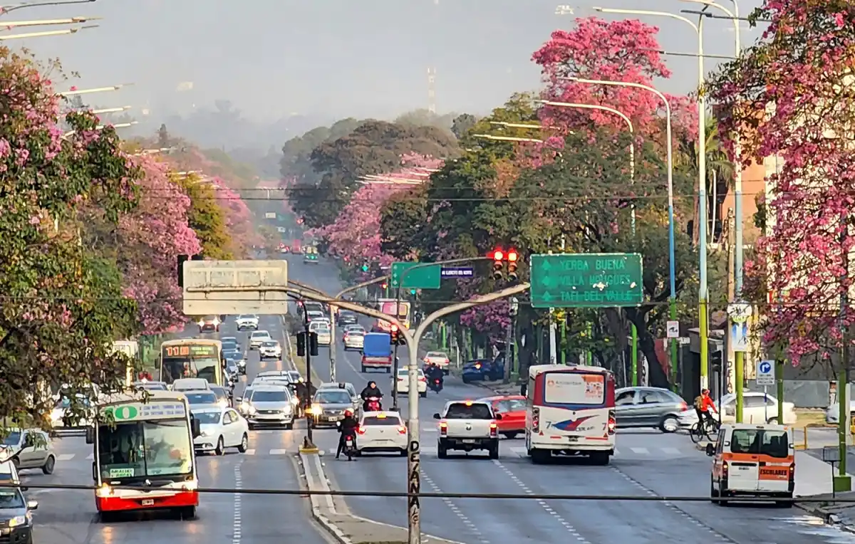 PLATAFORMAS ELECTORALES. El futuro divide discursos y define visiones entre los frentes que competirán en Tucumán.