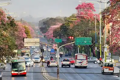 Conocé la oferta electoral: qué dicen los frentes y partidos acerca del futuro de Tucumán y del país
