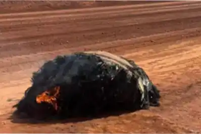 Un enorme objeto habría caído del cielo: encontraron una pieza carbonizada en un camino remoto