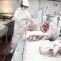 Carne vacuna: cayó el volumen de exportación y se dispararon las importaciones en noviembre
