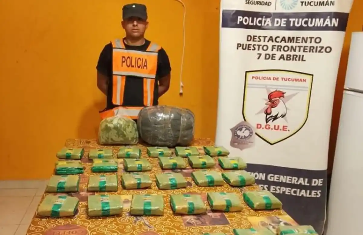 Secuestran 80 kilos de hojas de coca en controles fronterizos de Tucumán
