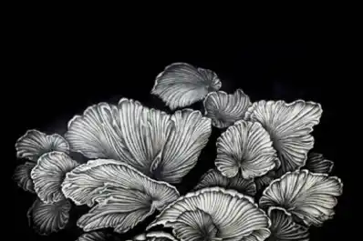 Muestra en el Centro Rougés: un homenaje a la riqueza de la tierra, llamando a defenderla