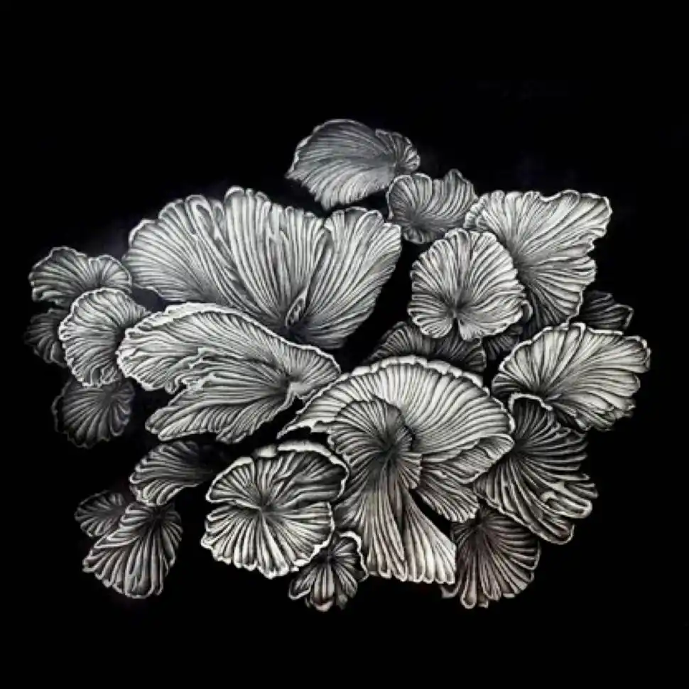 DIBUJOS. Conforman la exposición que se verá en el Rougés.