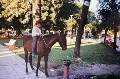 Recuerdos fotográficos: insólitas apariciones de caballos por la plaza Independencia