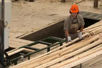 Industria de la madera: las exportaciones crecieron 34,5% en valor entre enero y agosto