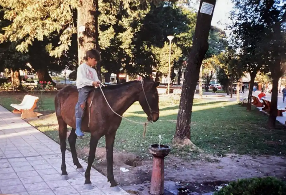 Recuerdos fotográficos: insólitas apariciones de caballos por la plaza Independencia