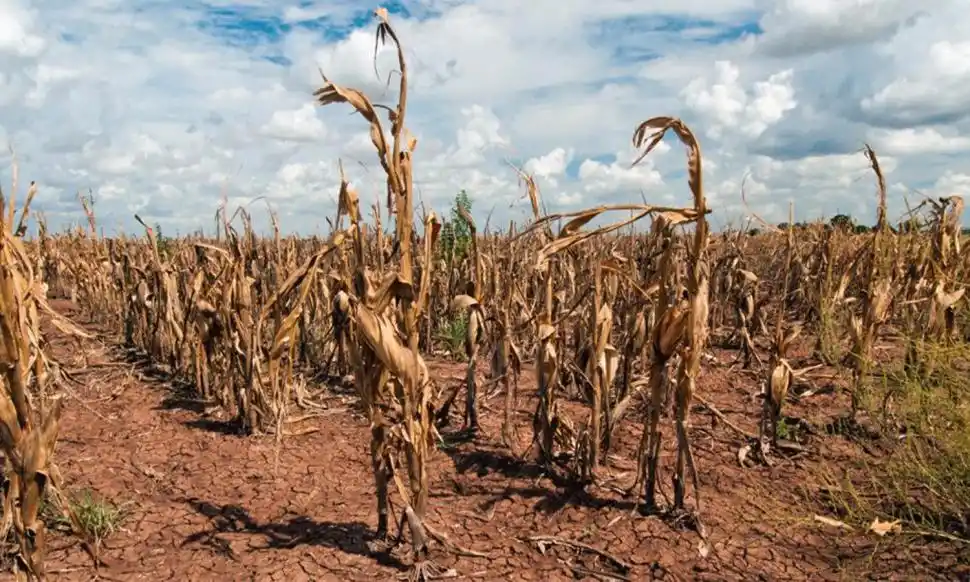 Buscan mejorar la muestra del factor climático en los datos agrícolas