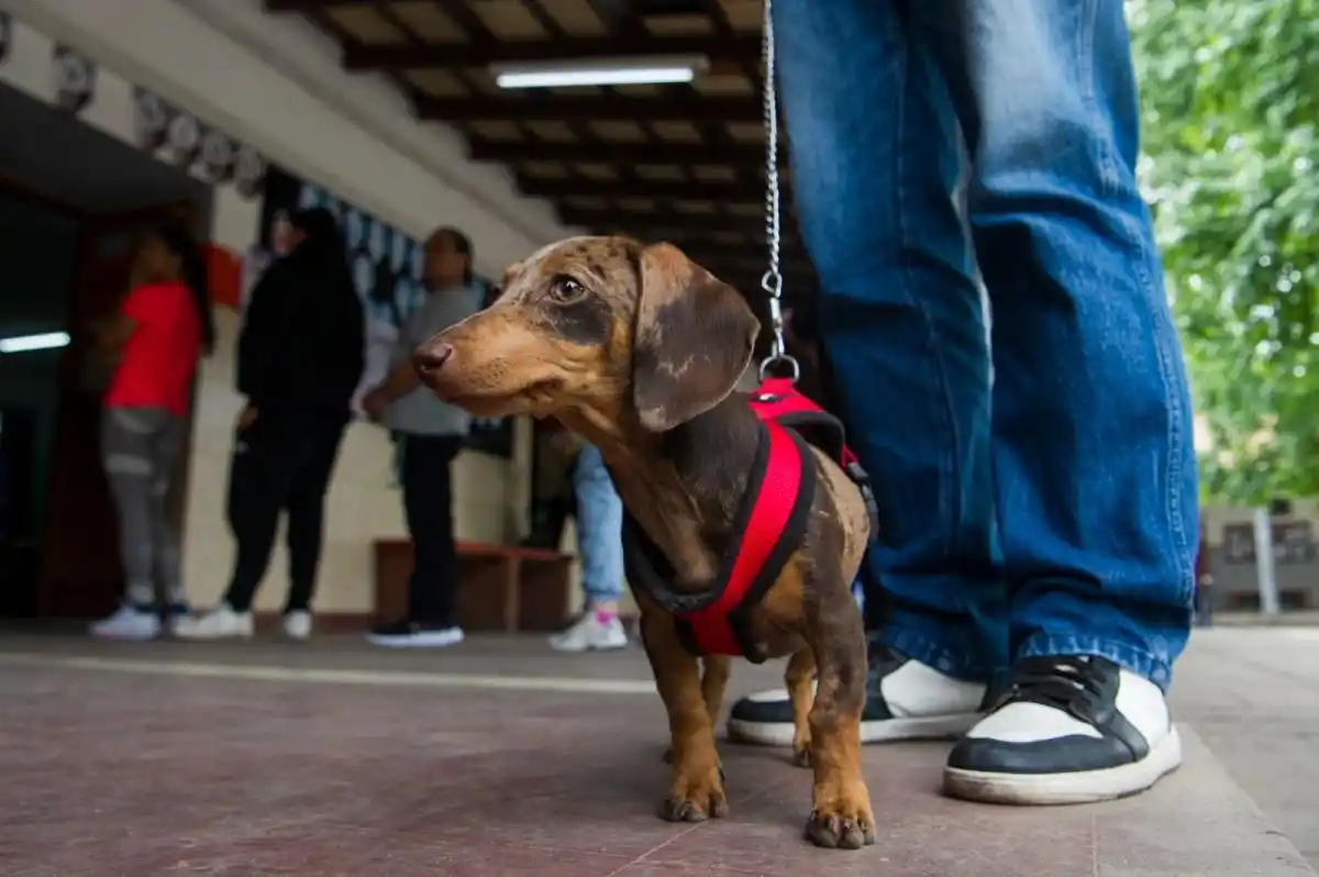 Foto de Diego Araoz/LA GACETA.