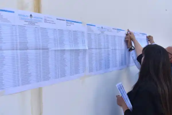 Viaje al cerebro de un votante promedio