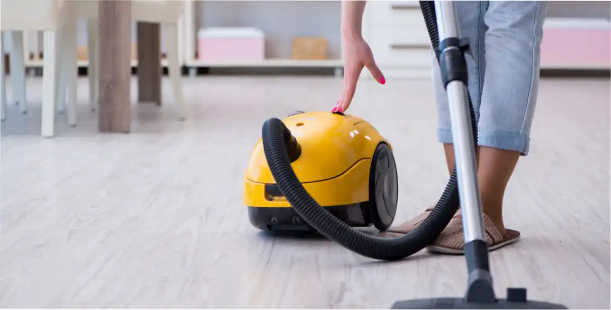 ¿Cómo eliminar las cucarchas para siempre? el truco de los expertos.