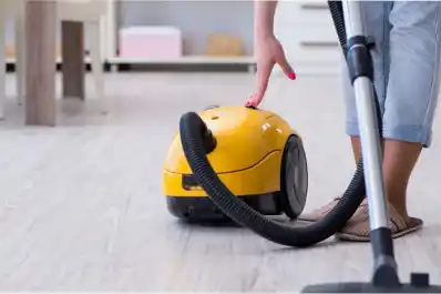 El secreto de los expertos para acabar con las cucarachas: no es un veneno y está en tu aspiradora