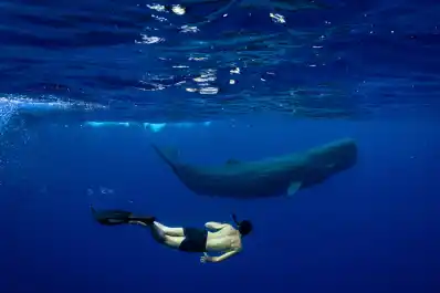 Los tres mejores destinos de Latinoamérica y el Caribe para viajar en 2026, según National Geographic