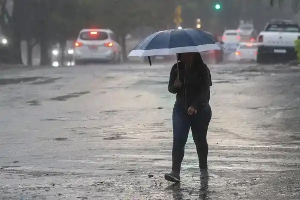 Alerta amarilla: cuáles son las siete provincias bajo advertencia por lluvias y vientos fuertes