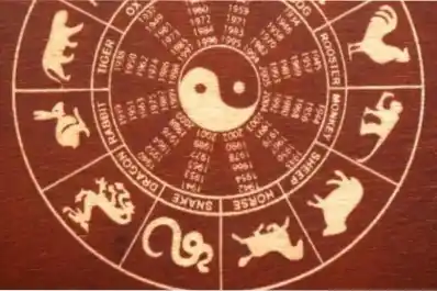 Horóscopo chino: los signos que deberán cuidarse de una traición antes de que llegue noviembre