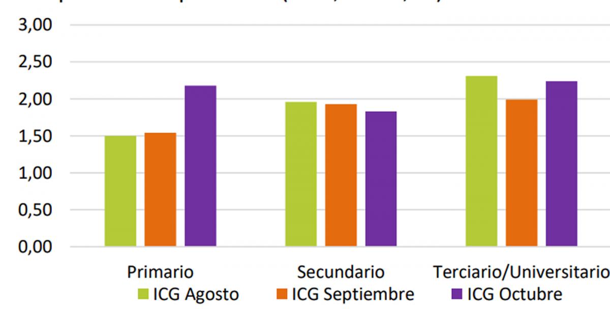 POR NIVEL DE INSTRUCCIÓN. Lo que más se destaca es el aumento del ICG en el sector que sólo alcanzó el nivel primario. / IGC