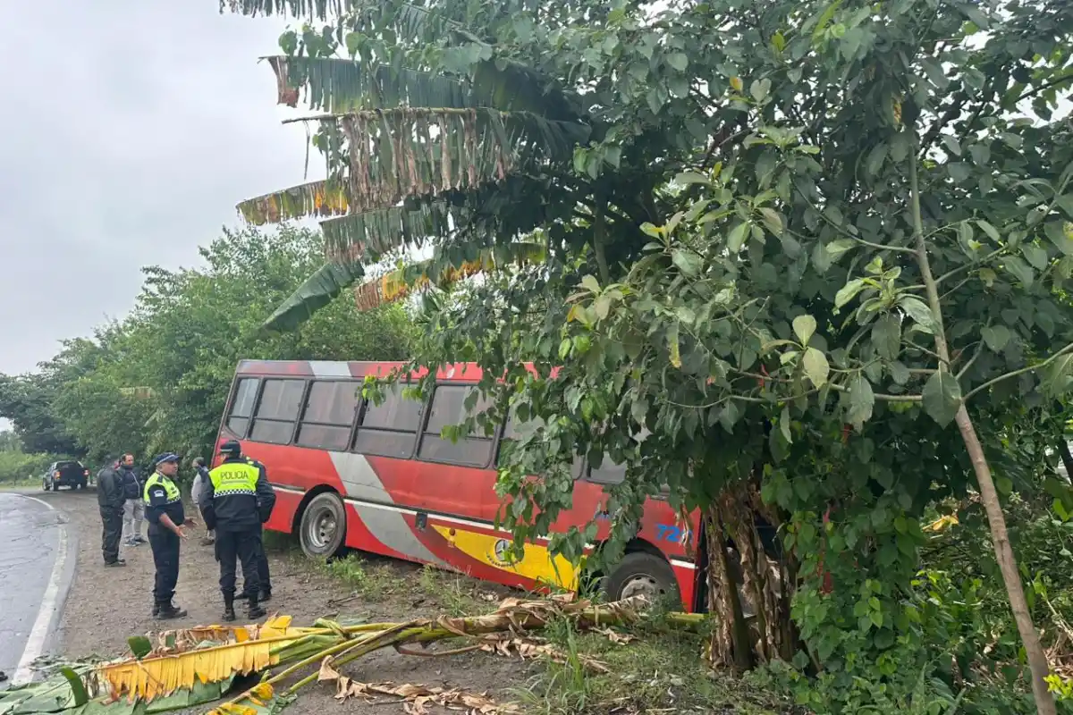 El colectivo que protagonizó el accidente.