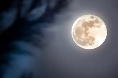 Luna Nueva de noviembre 2025: rituales para aprovechar toda su energía