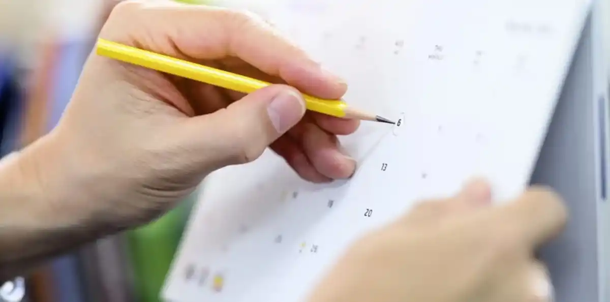 Cuándo es el próximo fin de extra largo de noviembre 