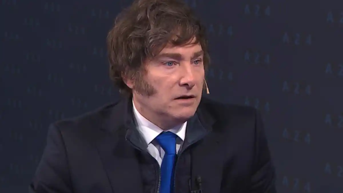 TRAS LA CUMBRE EN LA ROSADA. Javier Milei mencionó que hubo acuerdos con matices.