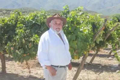 La historia del primer viognier tucumano que se impone en la tierra del torrontés