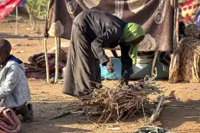 El Consejo de Seguridad de la ONU condenó las “atrocidades” cometidas por paramilitares en Sudán