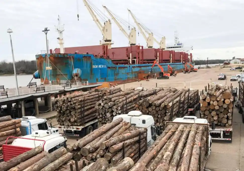 Se incrementó la exportación de los productos maderables