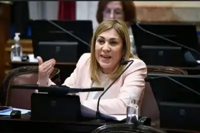 Pedido desde el Senado: “Para que el Instituto Nacional del Cáncer vuelva a funcionar”