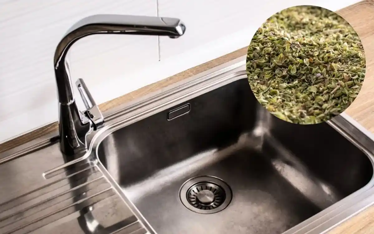 ¿Por qué recomiendan tirar orégano en el desagüe?: el extraño truco que soluciona un gran problema en el hogar