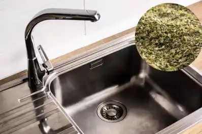 ¿Por qué recomiendan tirar orégano en el desagüe?: el extraño truco que soluciona un gran problema en el hogar