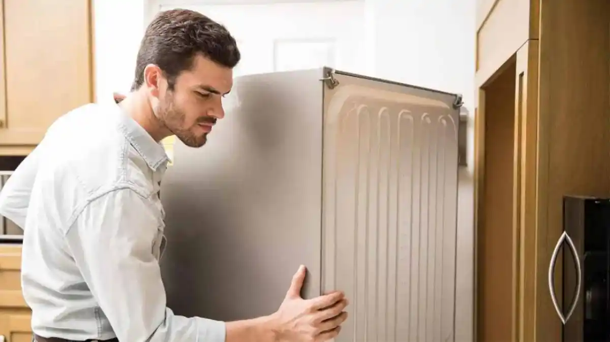 Cuánto tiempo hay que esperar para enchufar la heladera después de moverla o trasladarla