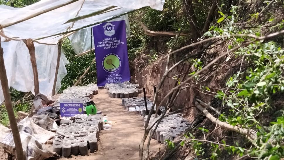 Por corrupción, los controles de Gendarmería generan dudas en el NOA