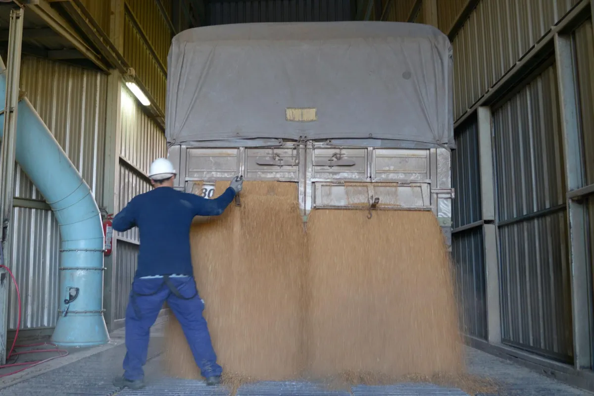 Complejo agroindustrial. AGRICULTURA 