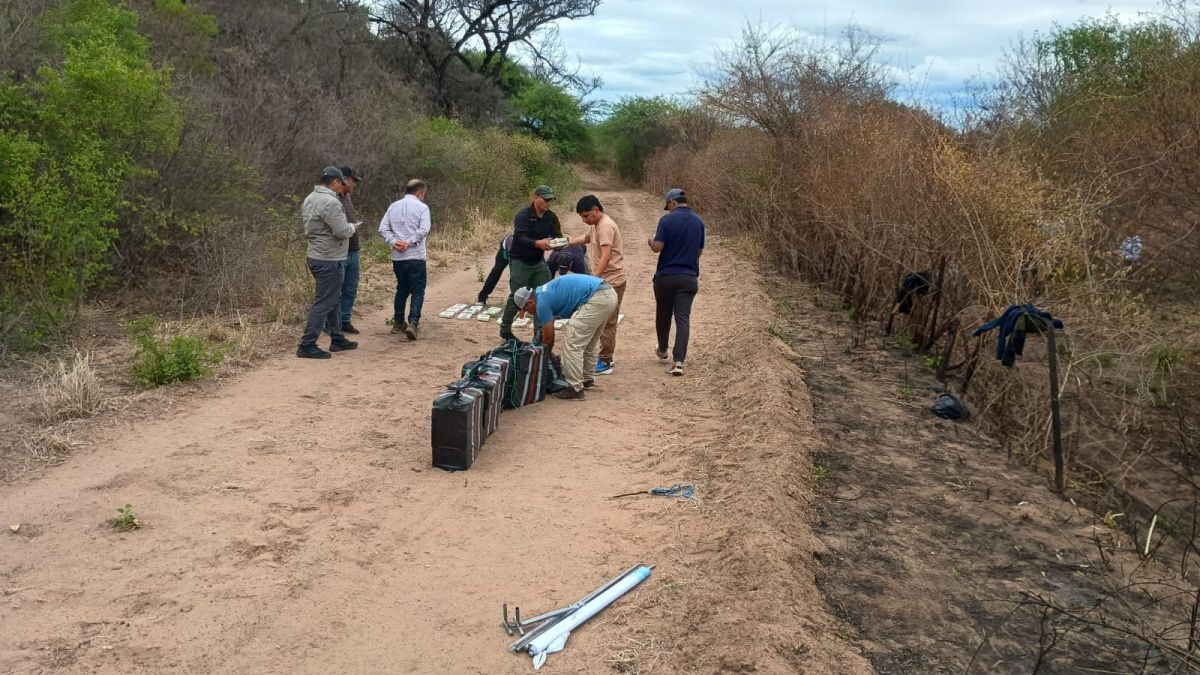 Detuvieron a los pilotos de la avioneta narco que cayó en Salta e investigan vínculos con carteles internacionales