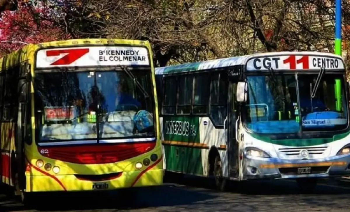 Servicio de ómnibus.