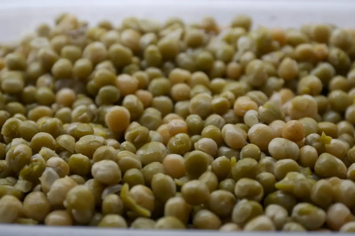 Producción. PRENSA AGRICULTURA