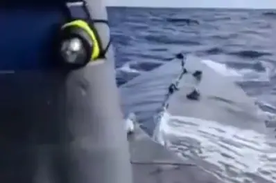 Portugal interceptó un narcosubmarino con 1,7 toneladas de cocaína en el Atlántico