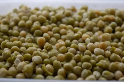 La producción de legumbres marcó un nuevo récord y creció 57% interanual