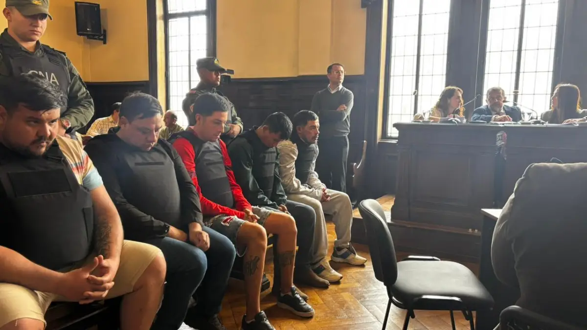 Avioneta narco: quiénes son los cinco acusados por el tráfico de 360 kilos de cocaína