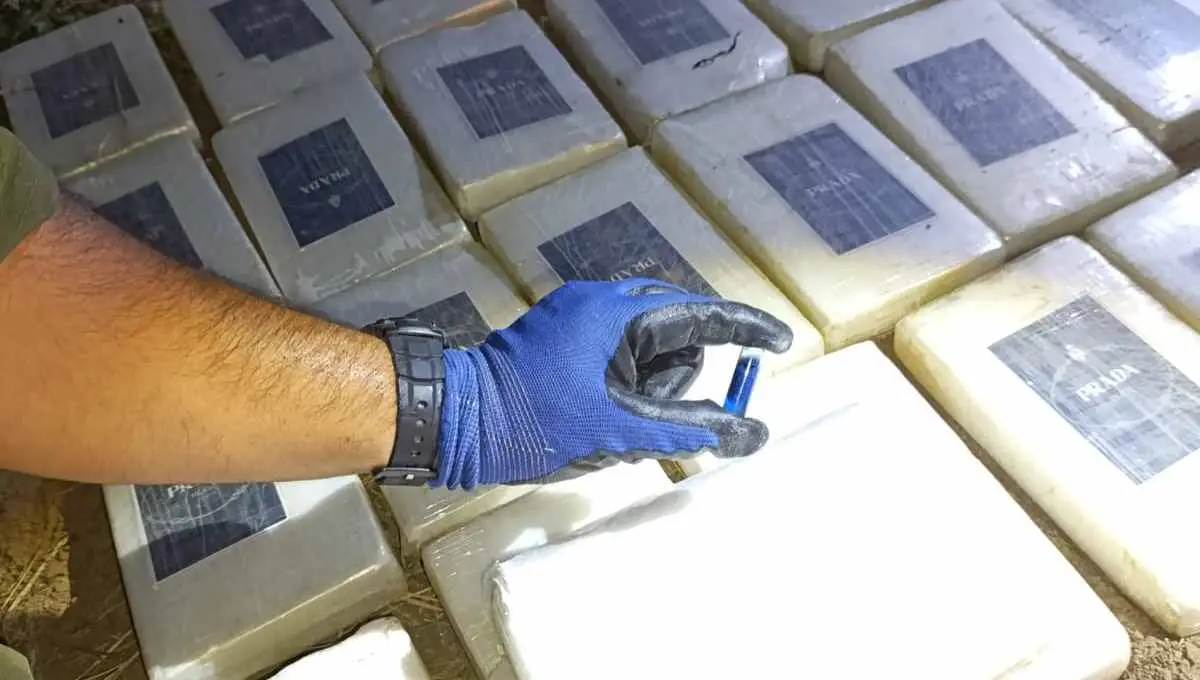 “Entre Rosario de la Frontera y Tucumán se enfría la droga”