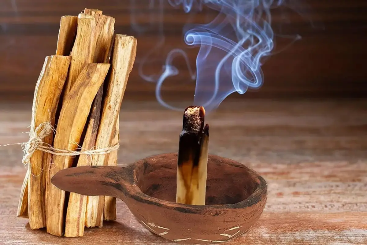 Los beneficios del palo santo